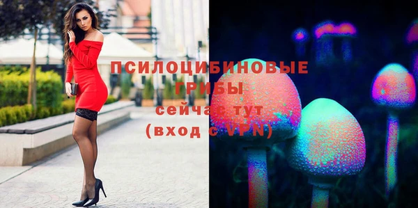 дистиллят марихуана Каменногорск